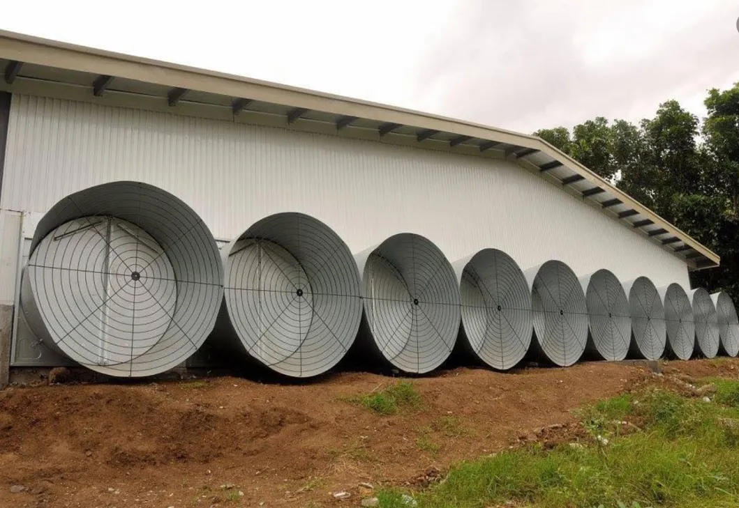 Poultry farm ventilation installation project