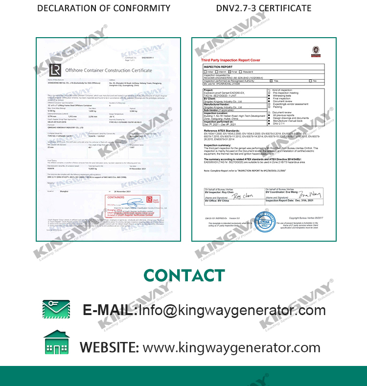 Supply 250kva 200kw 400v 50hz 3 phase 4 wire diesel engine explosion proof Atex engines for zone 2