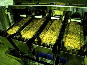 6500 Gram 4 Head Linear Weigher Machine For Chocolate