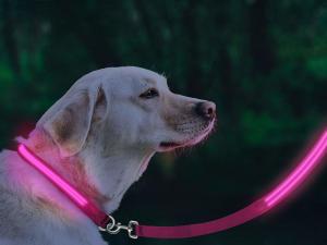 Eco Friendly LED Glow In The Dark Dog Leash Weatherproof Available In 5 Colors
