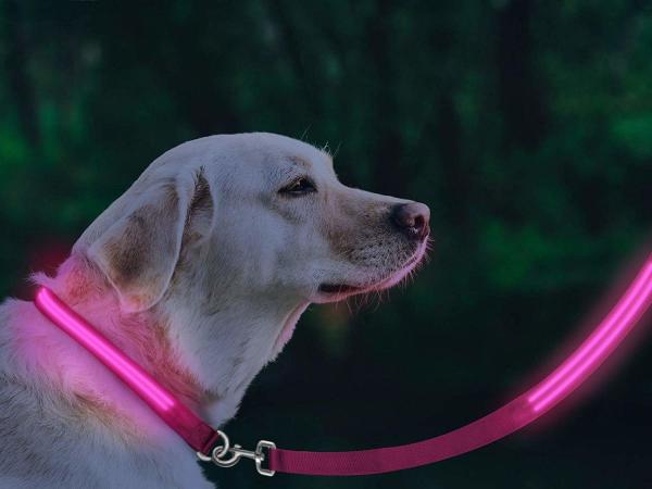 Quality Eco Friendly LED Glow In The Dark Dog Leash Weatherproof Available In 5 Colors for sale