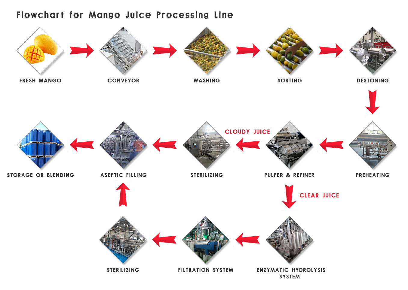 Electric Automatic Mango Processing Equipment Mango Fruit Core Removing Machine