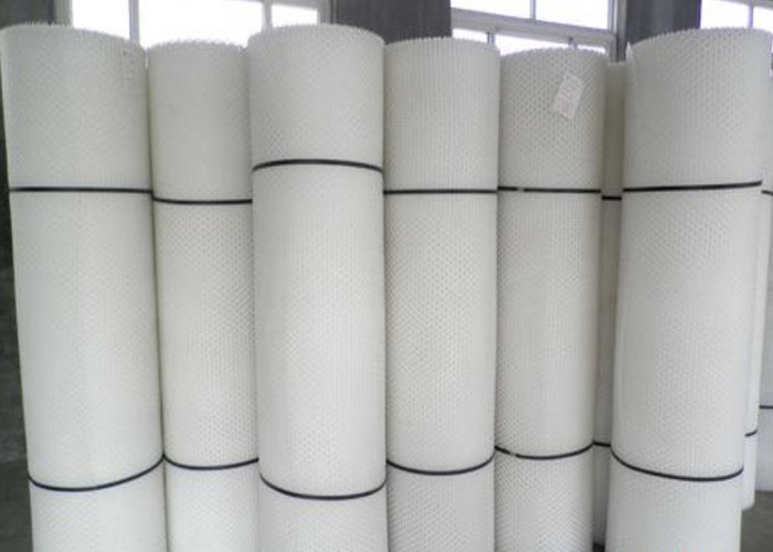4.5mm 400g Sqm High Density Polyethylene Netting