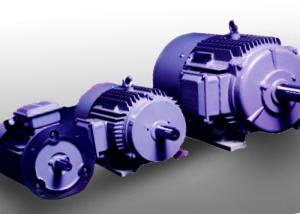 China F Thermal 3 Phase Permanent Magnet Synchronous Motor on sale