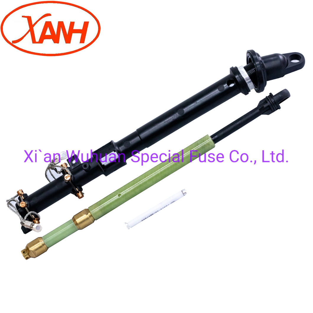 Oil-Immersed Type Transformer Protection High Voltage Limit Current Fuse Backup Fuse Bay-O-Net Fuse Elsp Fuse Cbuc23150d100