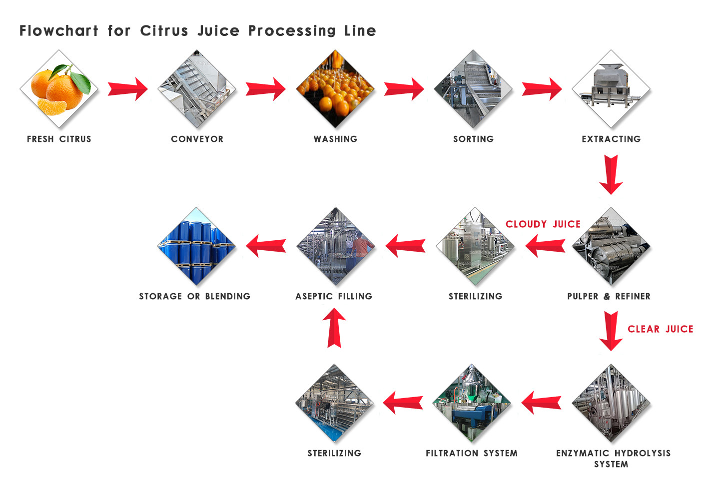 Fully Automatic Orange Juice Processing Line Machine For Citrus Processing Plants