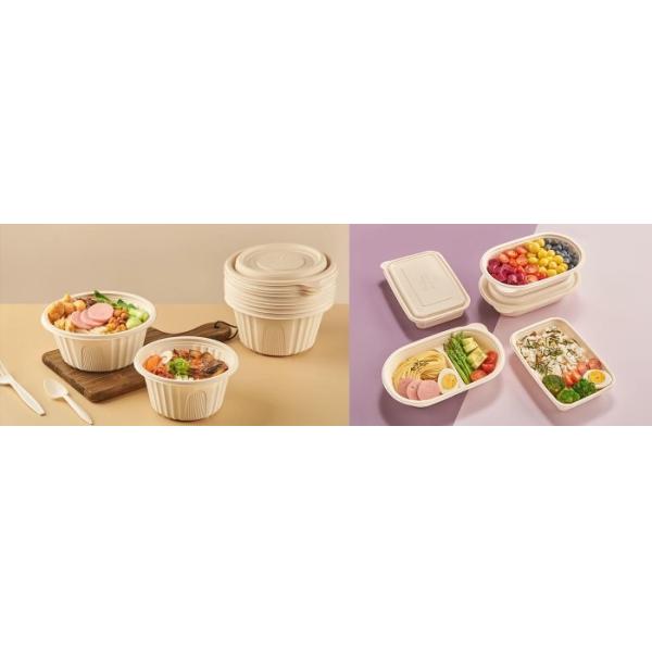 Tableware Forming Automatic Blister Machine Tooling Multi Layer Co Extrusion Complete In One Step