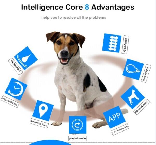 Quality Reachfar rf-v32 fast track gps dog tracker phone number gen-fence wifi safety zone for sale