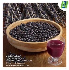 China antioxidant keepling slim Natural Acai Berry Extract wholesale