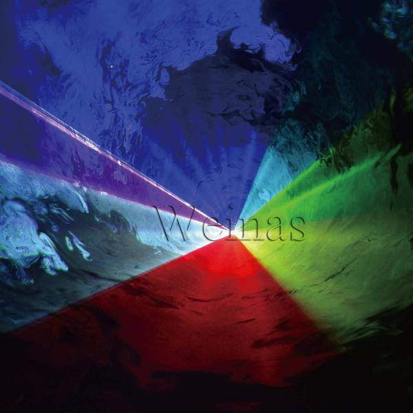 Green 532nm Club Laser Lights / Projector Stage Lighting 144 Patterns DMX512 SD Card