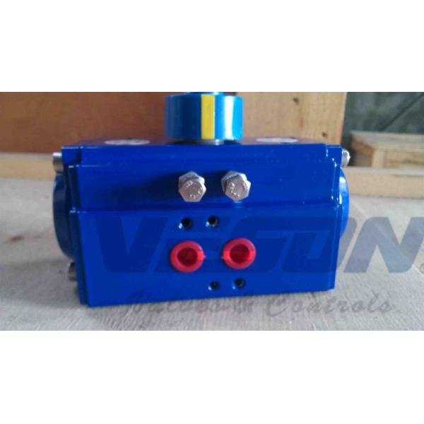 Rotary Machine Stainless Steel Pneumatic Actuator Hard Anodizing Surface Treatment