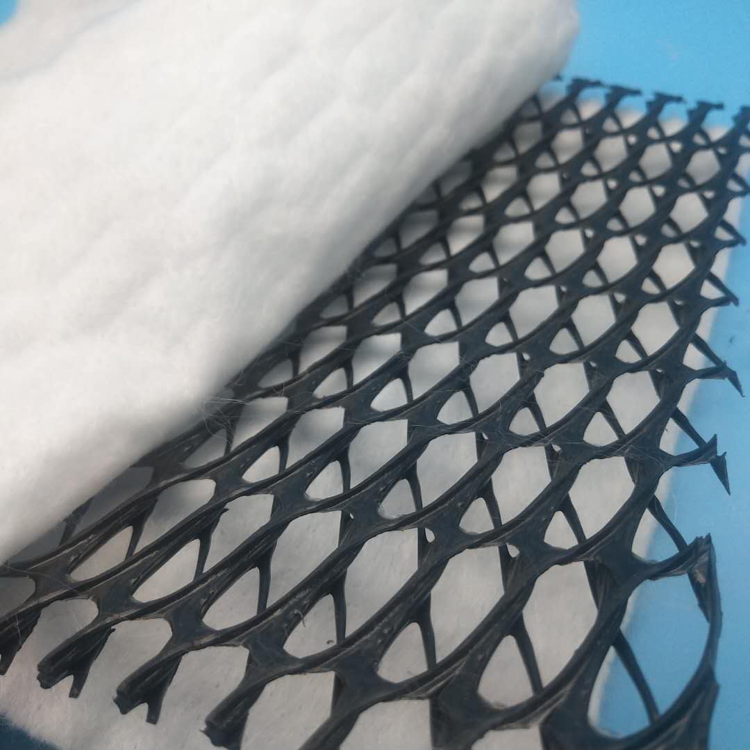 3D Composite Drainage Geonet The Ultimate Drainage Solution for Landfill Inner Walls