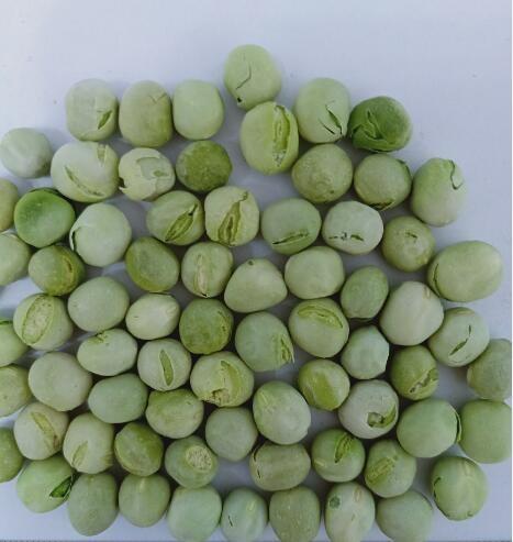 Quality No Sulfites Dried Garden Peas for sale