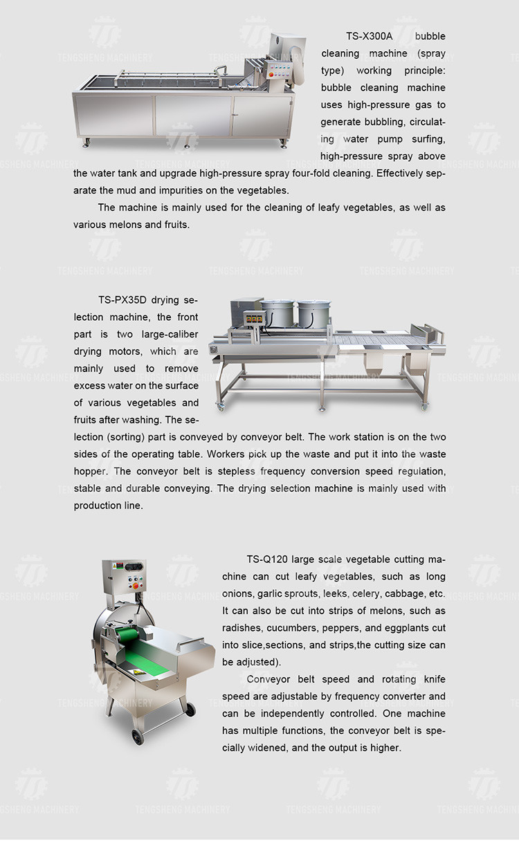 Industrial Fruit And Vegetable Processing Line Brush Bubble Cleaning Drying Selection And Cutting