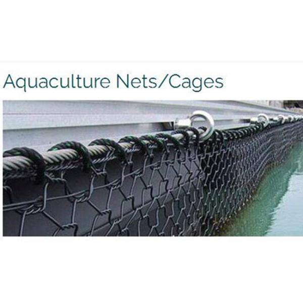 Hexagonal 2.5mm Gabion Mesh Baskets 50x60mm Woven Fish Cage Netting