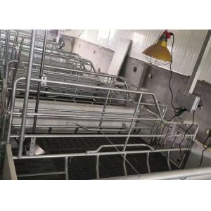 Prefab Steel Portal Frame Structure Construction Windproof Pig House