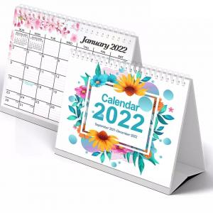 China Paper Printable Desk Calendar 365 Day Plan Wall Calendar Printing wholesale