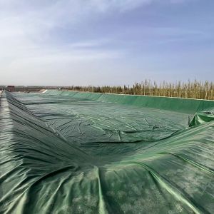 China Long Lifespan Hdpe Smooth Geomembrane Multi Scenario Pvc Geomembrane Liner wholesale
