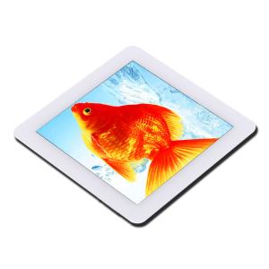 China 3.97 Inch Pcap TFT Touch Screen Module I2c Serial Interface 4&quot; wholesale