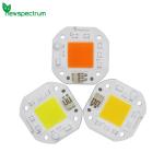 High Lumen Output 50W LED Chip
