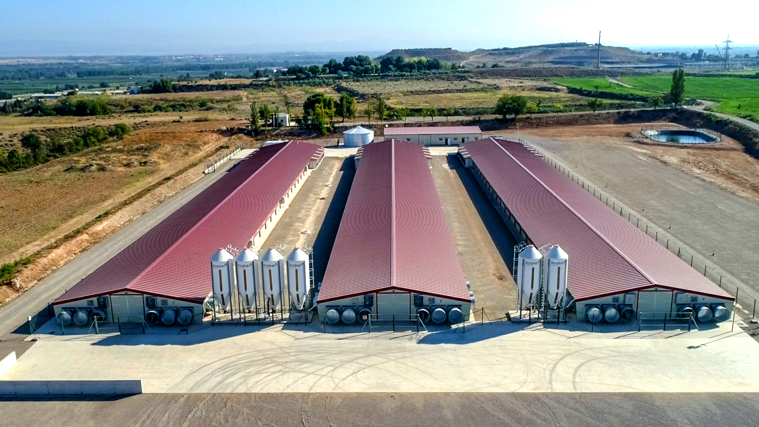 10000 Chickens Prefabricated Steel Tolerance ±1% for Chicken and Duck Farm Structures