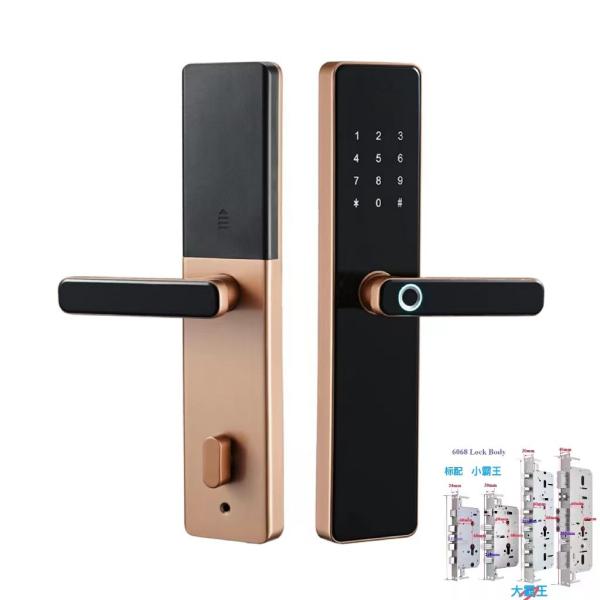 Quality 6068 Mortise TTlock Wifi Tuya Door Lock With Fingerprint And Password for sale