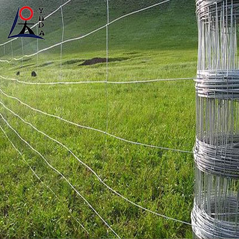 Highly Secure Livestock Or Grassland Fence Preventing Intrusion
