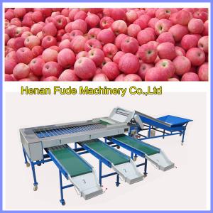 China apple sorting machine, mango sorting machine wholesale