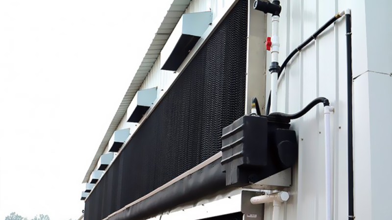 10000 Chickens Prefabricated Steel Tolerance ±1% for Chicken and Duck Farm Structures