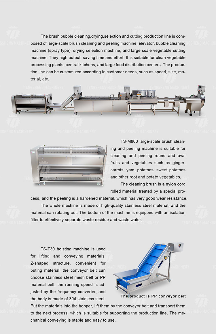 Industrial Fruit And Vegetable Processing Line Brush Bubble Cleaning Drying Selection And Cutting