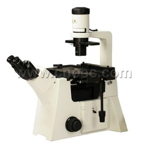 China Infinity Achromatic Halogen Phase Contrast Microscope 40X - 1000X A19.2703 wholesale