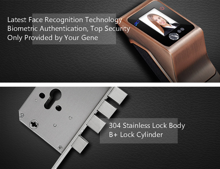 Biometric Smart Face Recognition Door Lock Infrared Non - Touch Info - Collect Way