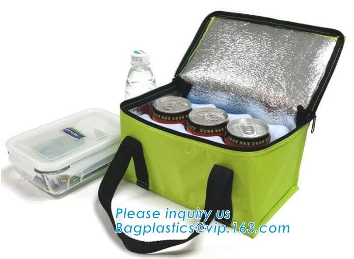 Customized logo printing insulated food delivery cooler bag,wholesale waterproof food delivery thermal bags bagplastics