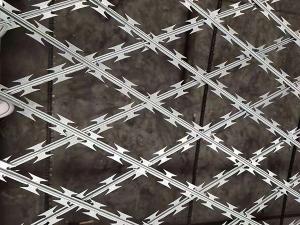 China DIN1.4301 Welded Wire Mesh AISI304 Razor Mesh Fence Customized wholesale