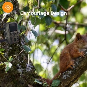 Infrared Mini Trail Camera Outdoor Hunting 4K HD 20MP 1080p