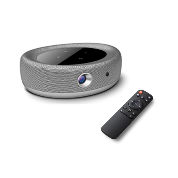 Quality OEM Portable DLP Projector for sale