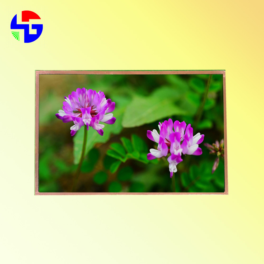10.1 Inch LVDS Interface 40 Pin TFT LCD Display 1280x800