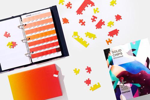 Quality PANTONE Color Card Pantone Solid Chips | Coated & Uncoated GP1606N for sale