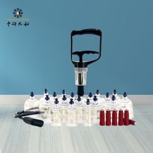 China Physical Therapy 19Pcs Cellulite Suction Cup Vacuum Cupping Massage Set wholesale