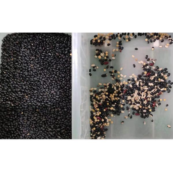China Factory Wholesale Customized Automatic Kidney Beans Color Separator Machine