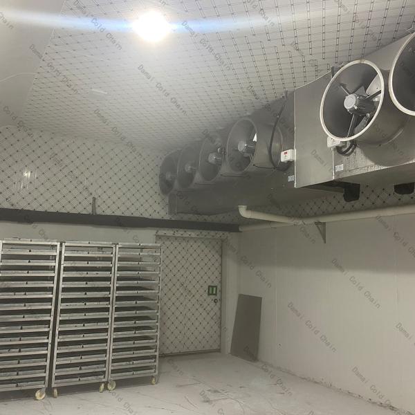 Quality Walk In Cold Room Freezer for sale