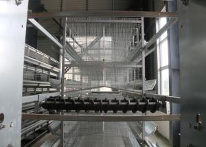 China Automatic Layer Chicken Cage Hen Poultry Cage Construction For Farm wholesale