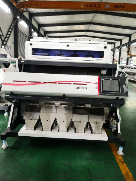 Quality 5 Chute Rice Sorting Machine for sale