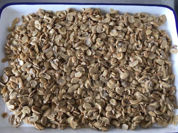 Quality New Crop Premium Canned Champignon Mushroom Slices No Artificial Additives for sale