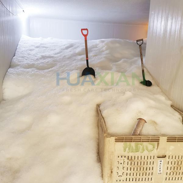 Compressor 10 Tons Block/Flake Ice Storage Container Room