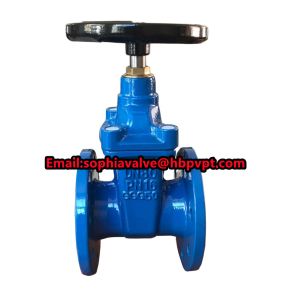 China GGG50 resilient seal BS gate valve wholesale
