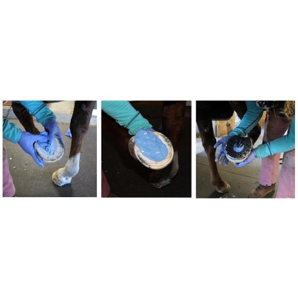 Fast Cure Two Part Silicone Putty for Better Hoof Care