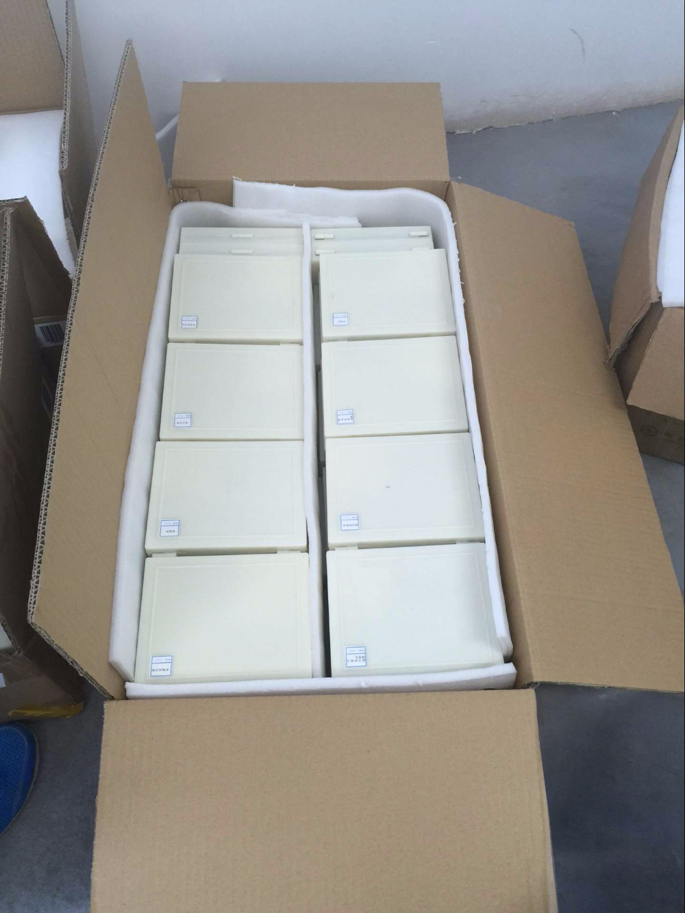 Biological Microscope Prepared Slides 25Pcs For Science Education
