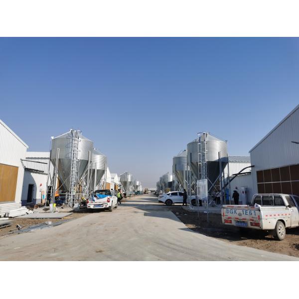 Galvanized Full Antomatic Steel Poultry Farm Shed Bird House Prefabricated