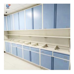 China Functional Lab Workstation Bench , 85cm Laboratory Island Bench For Testing wholesale